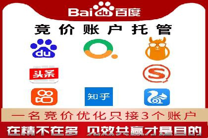 探索百度竞价代运营公司的成功之路